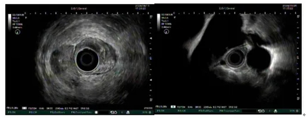 微信(xin)截圖_20240417142354.jpg 微信(xin)截圖_20240417142354.jpg