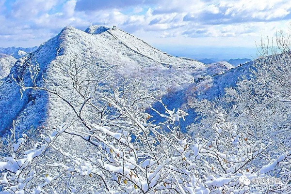 微信(xin)圖片_20191122114350.jpg 微信(xin)圖片_20191122114350.jpg