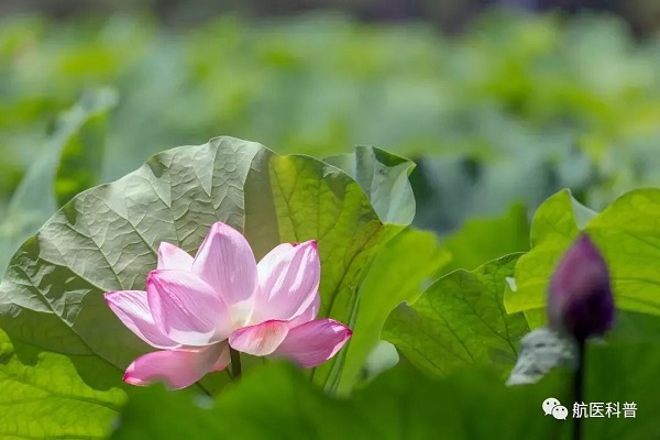 微信(xin)圖片_20191122114353.jpg 微信(xin)圖片_20191122114353.jpg